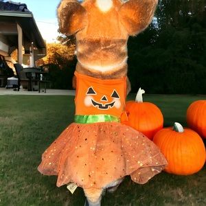Simply Dog pumpkin face tulle dress